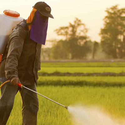 لیگنو سولفونات‌ها در صنعت کشاورزی به عنوان نرم‌کننده‌ی خاک استفاده می‌شود.